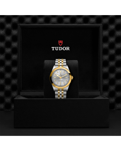 Tudor Black Bay 31/36/39/41 S&G 39 mm steel case, Steel and yellow gold bracelet (watches)